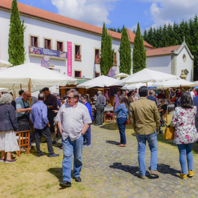 Troféu de Portugal 2019 6 Galería de fotos