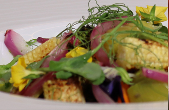 Chef Miguel Meneses 3 Galería de videos